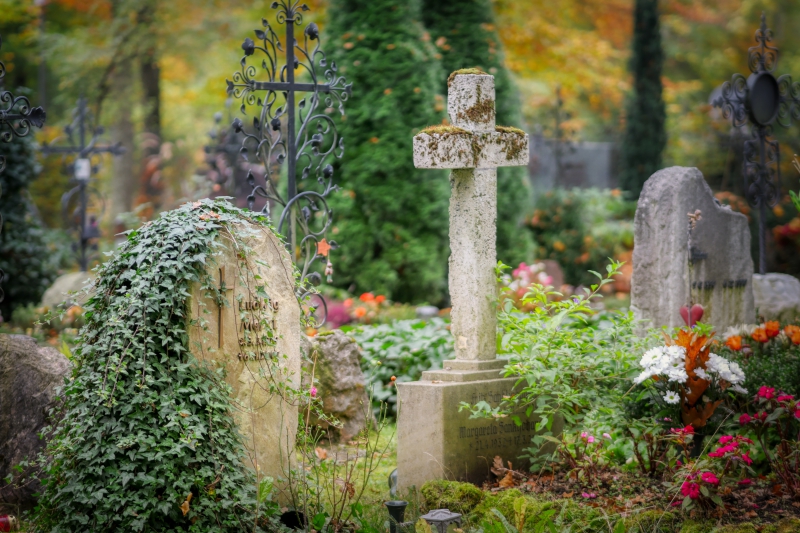 funeraire-MANDELIEU LA NAPOULE-min_cemetery-4653166